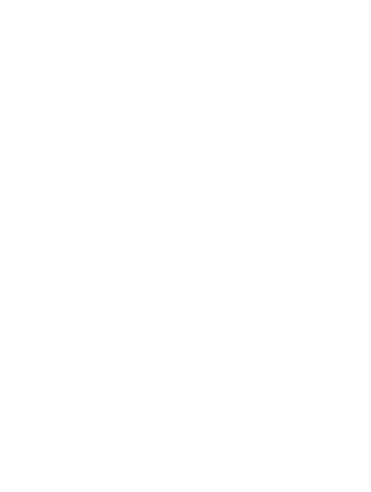 bird icon